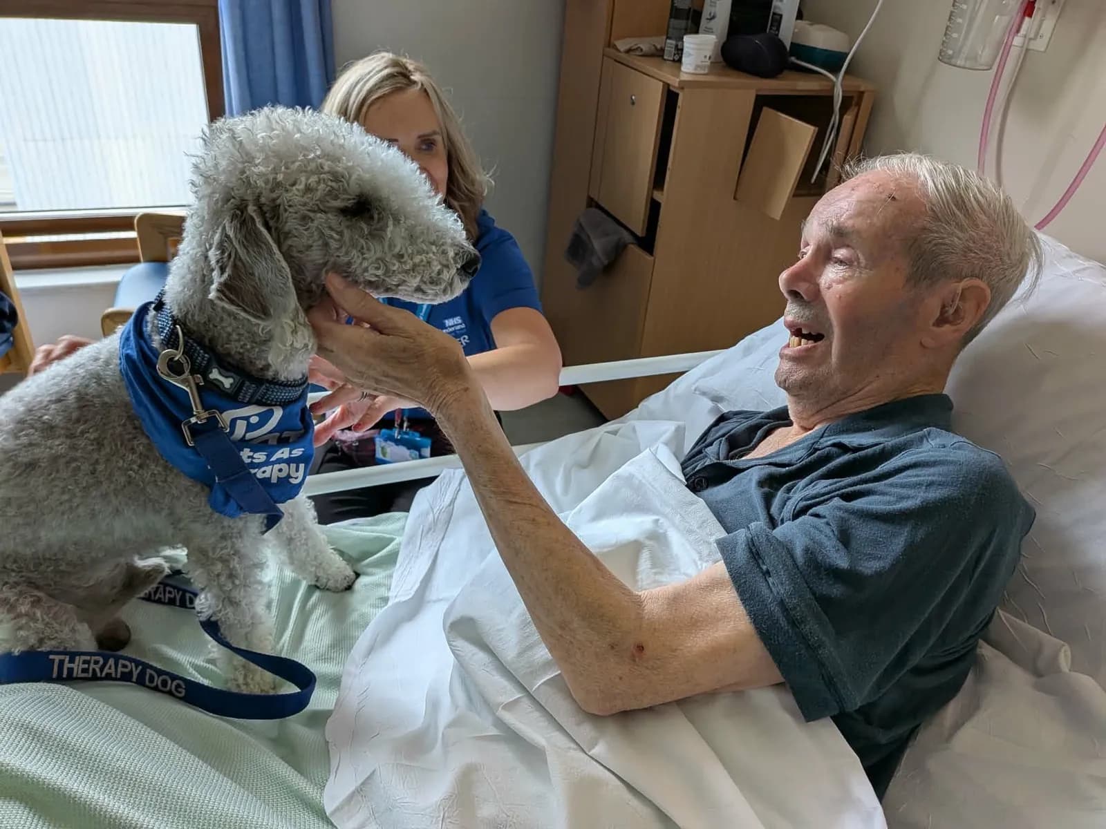 Milo the Therapy Dog Brings Joy to Stroke Patient