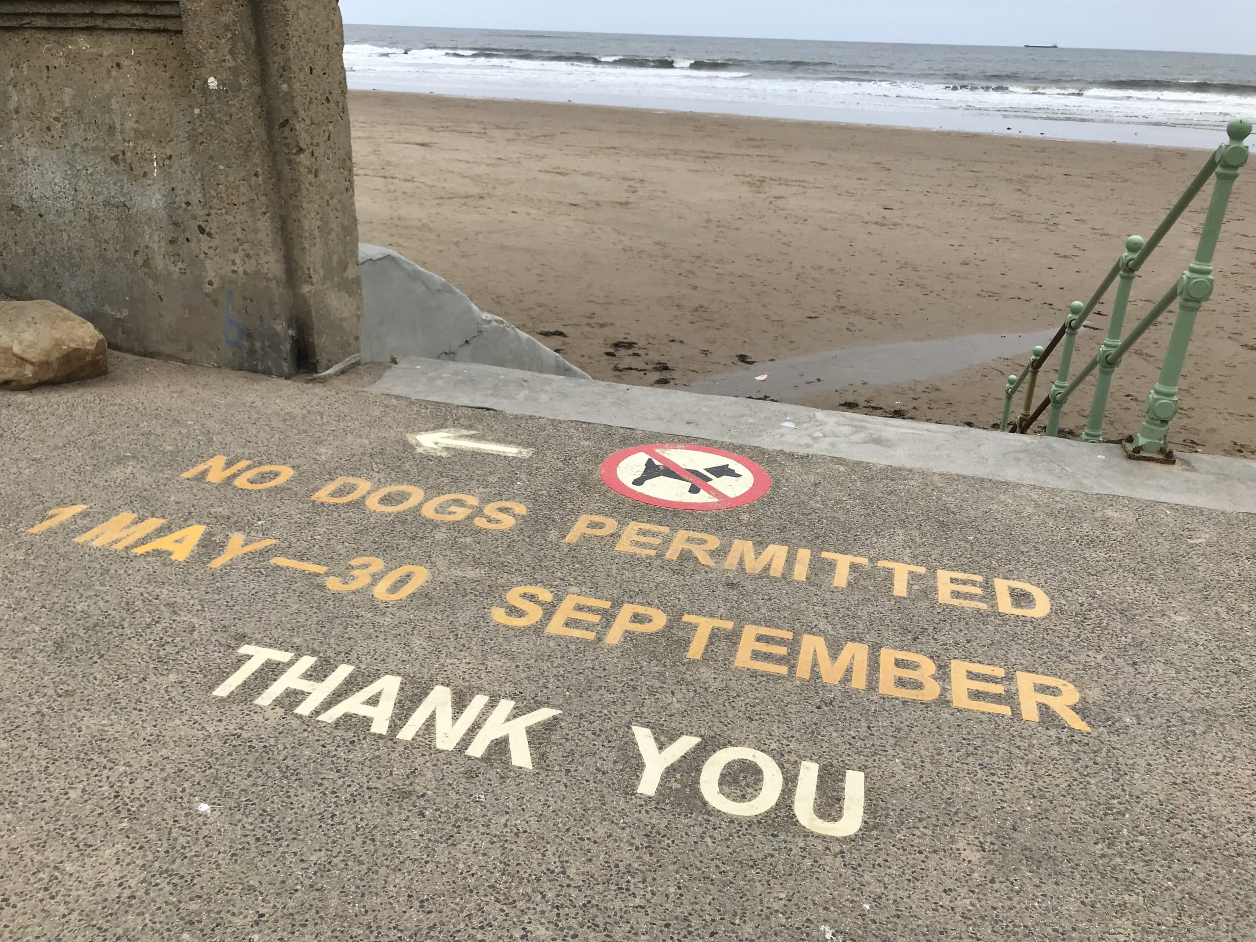 Keep Sunderland Beaches Clean: Dog Exclusion Zones Back in Effect