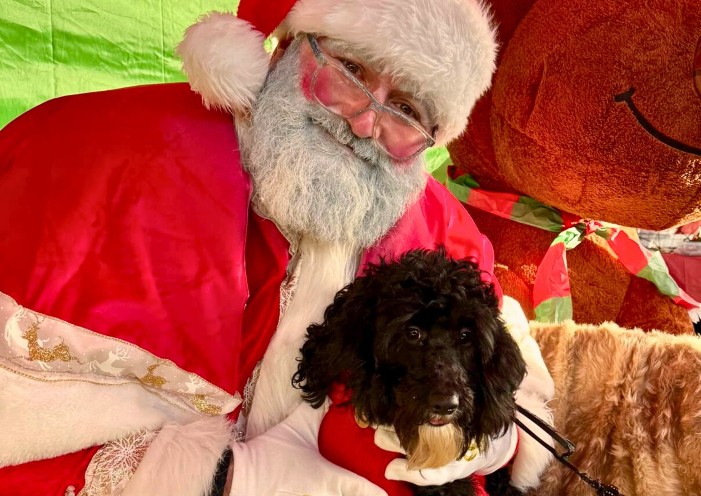 Sunderland’s Sunniside Market Wraps Up the Year with Christmas Celebration