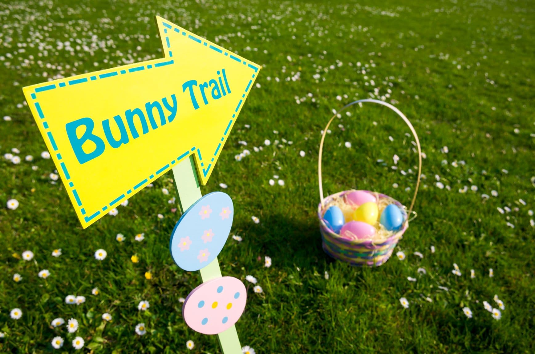 Enjoy This Easter With Sunderland Experience App’s Augmented Spring Reality Trail