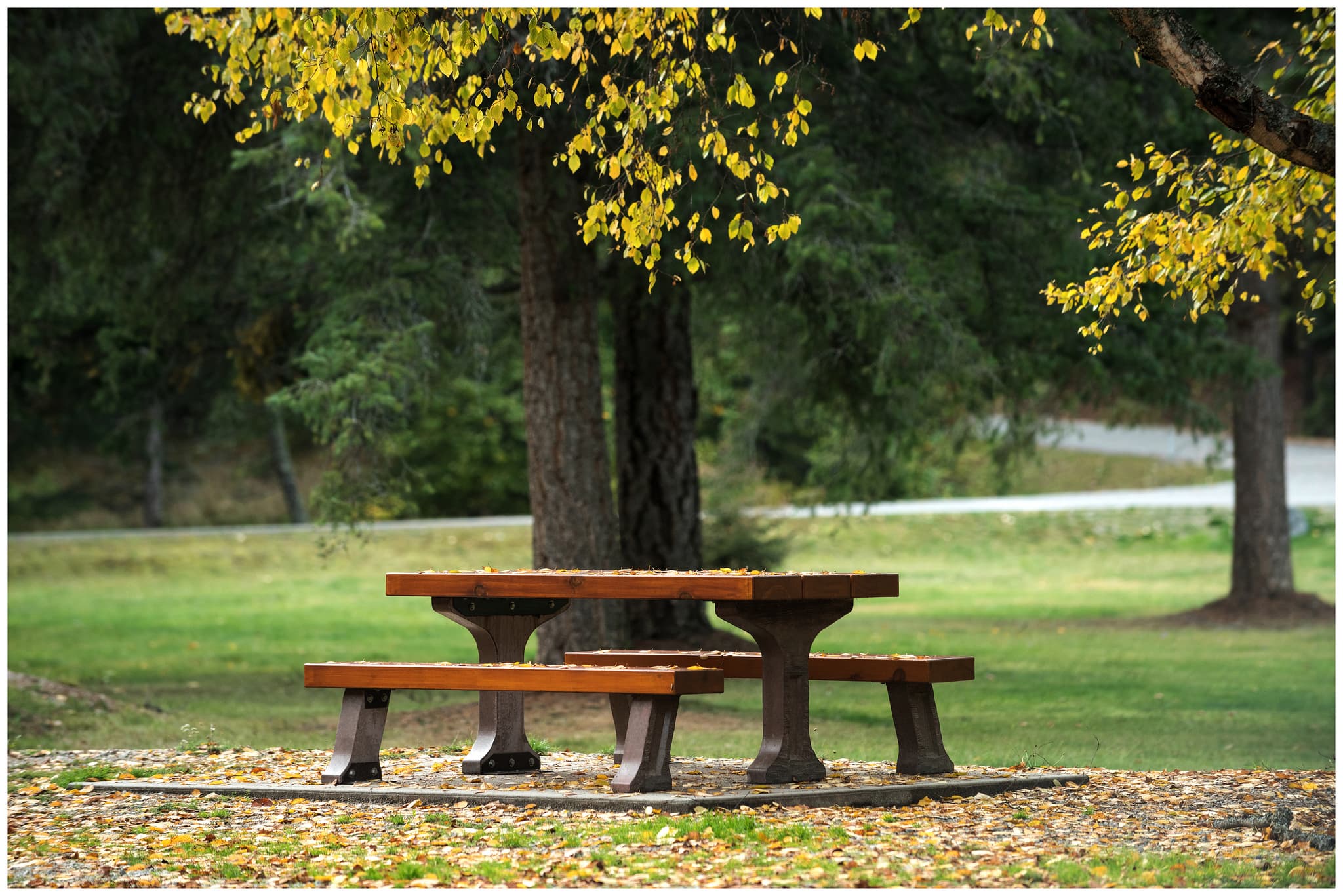 Sunderland Has Some Great Parks – But Which One Is the Best?