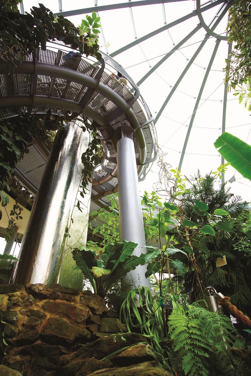 £488,000 Grant Secured for Sunderland Winter Gardens Restoration