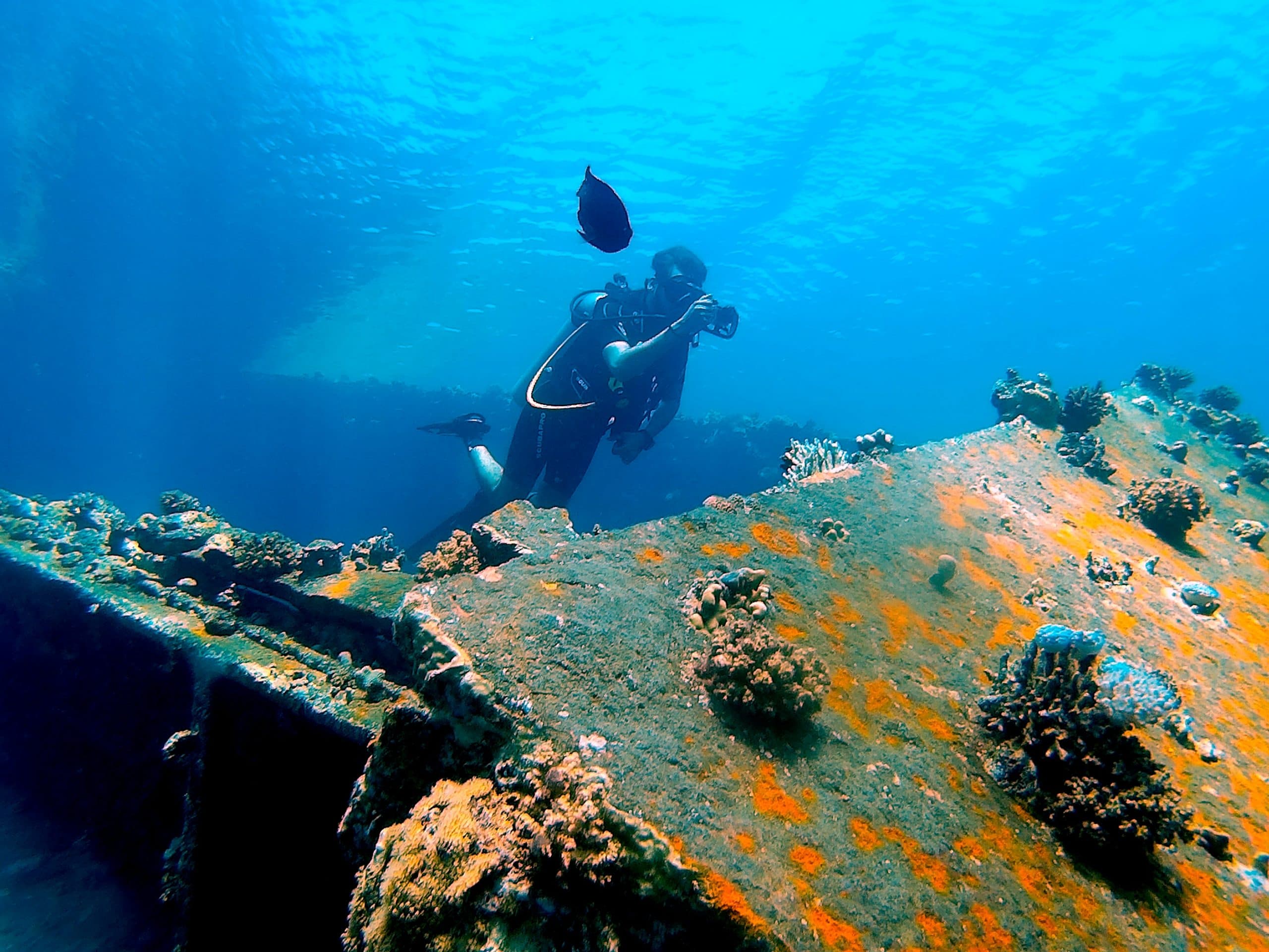 Divers Retrieve Century-Old Beer Bottles From Shipwrecked Vessel Wallachia