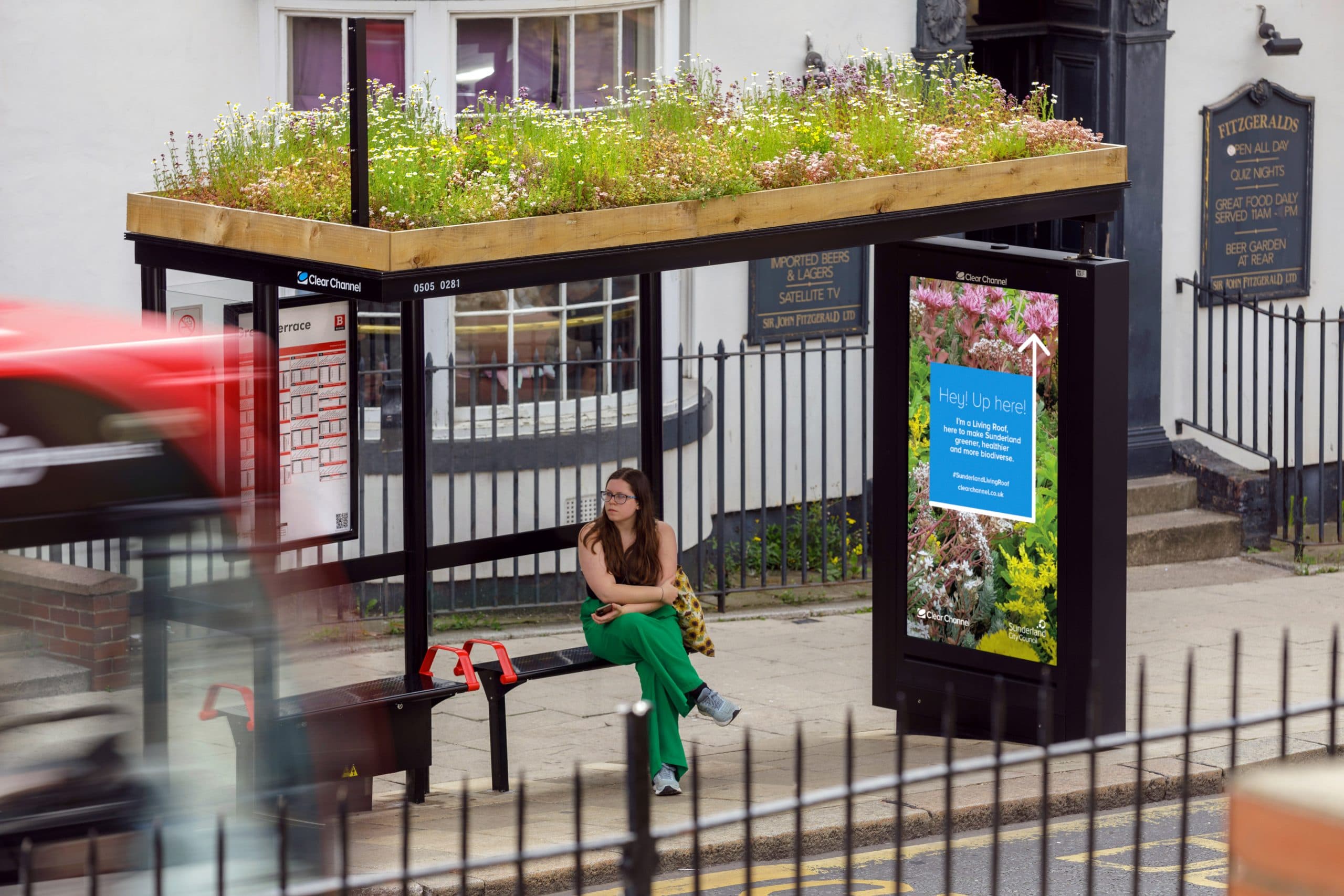 Sunderland’s Blossoming Transformation: The Rise of Living Roof Bus Shelters