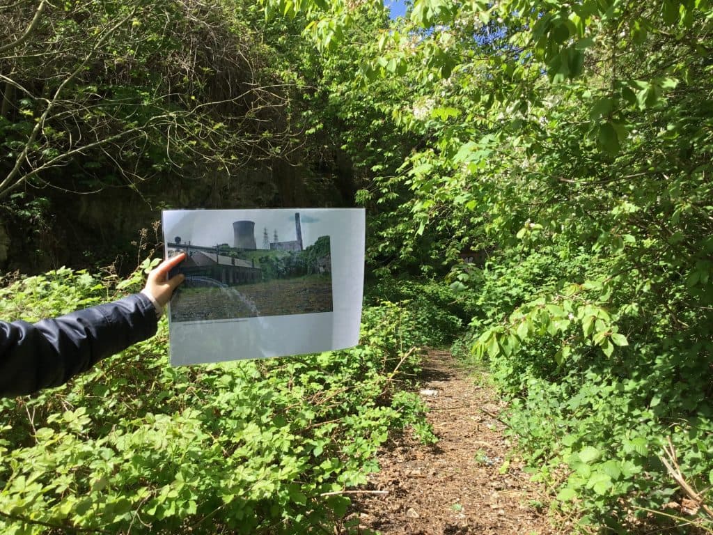 Lottery Project Creates Stunning Wildflower Meadow on Sunderlandβs Galleyβs Gill