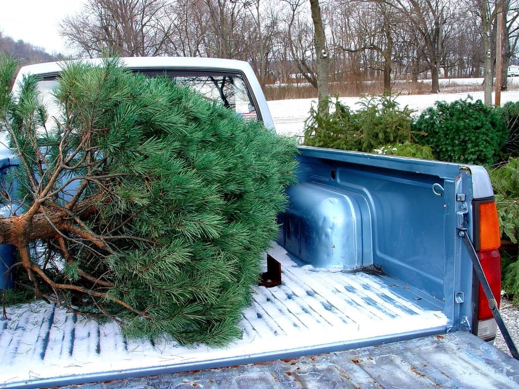 Think before you Bin: Festive Recycling and Christmas Bin Collections