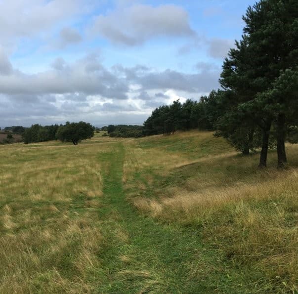 Plans For New Centre At The Former Elemore Golf Course