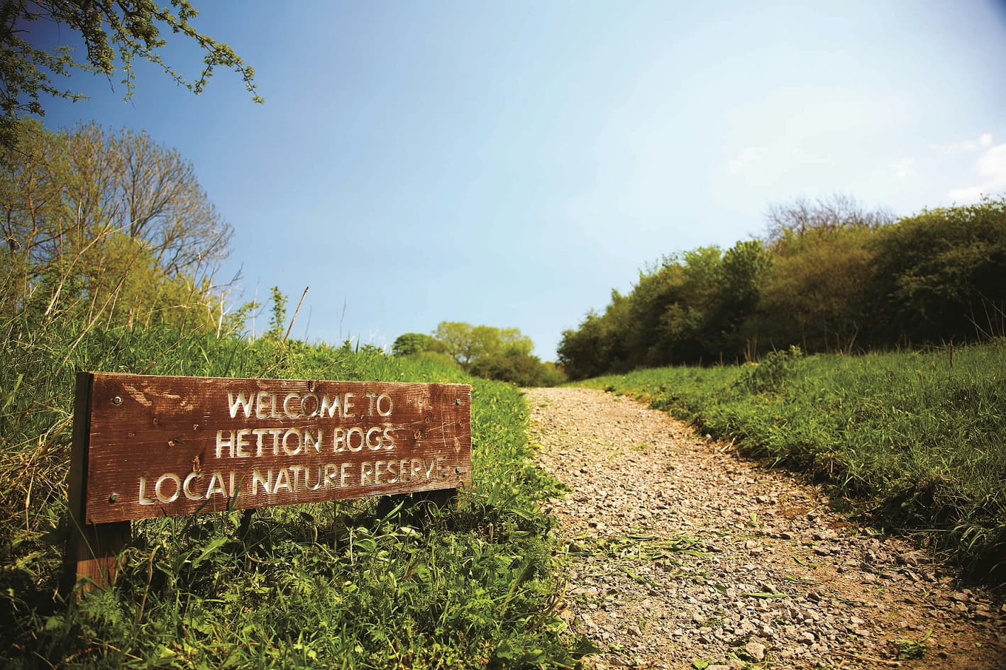 Sunderland Secures National Lottery Backing for Nature Access Project