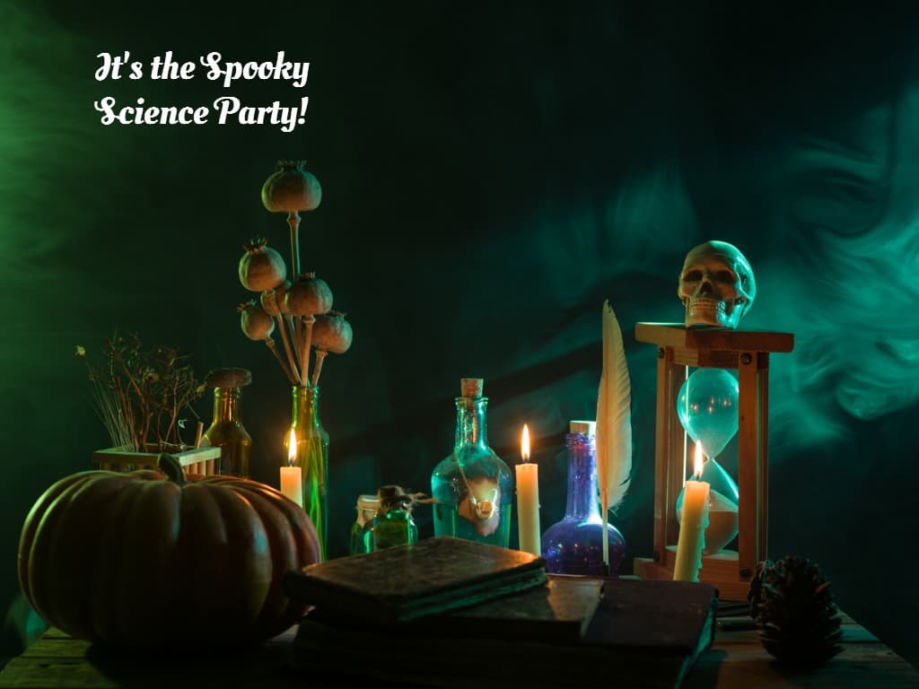 Enjoy Spooktacular Events at Sunderland Museum This Half-Term
