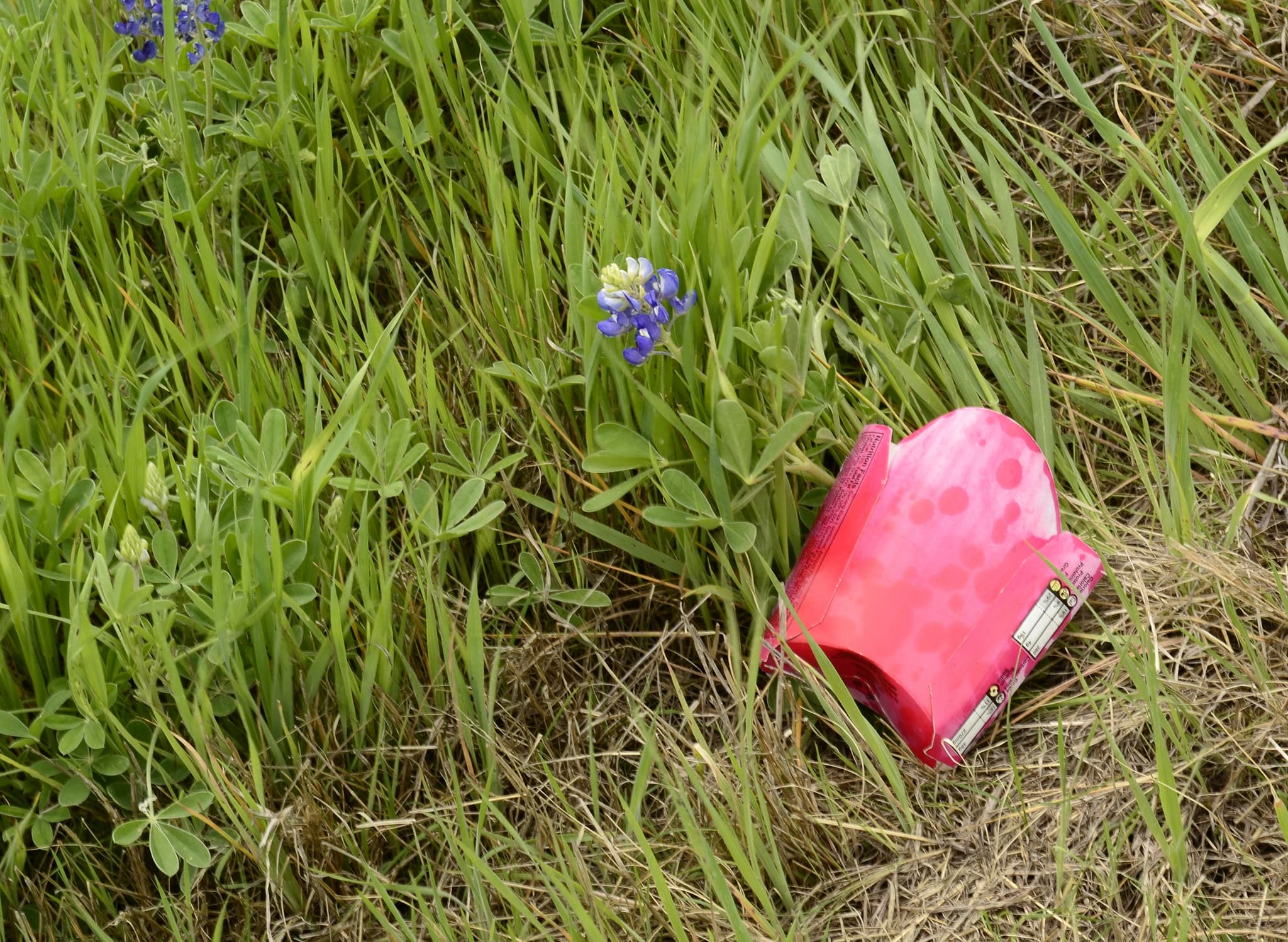 Β£460,000 to Make Sunderland a Cleaner City