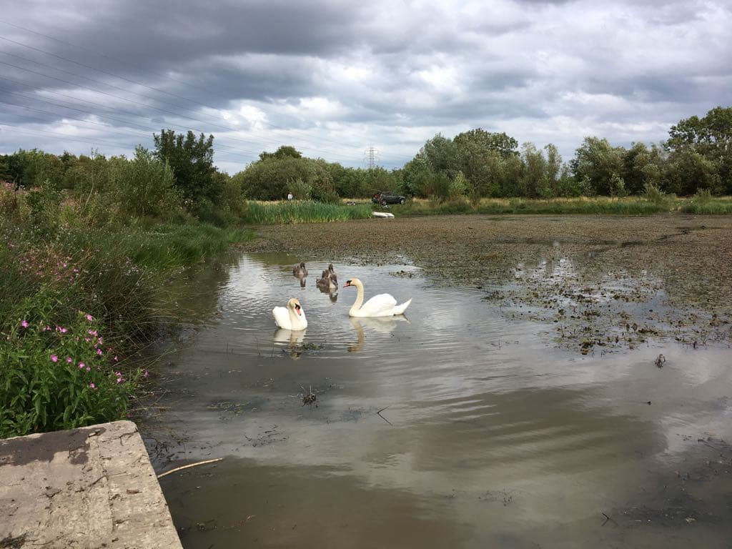 Scooters, Bikes, a Crossbow Bolt β All Found in Sunderland Pond Clean-up