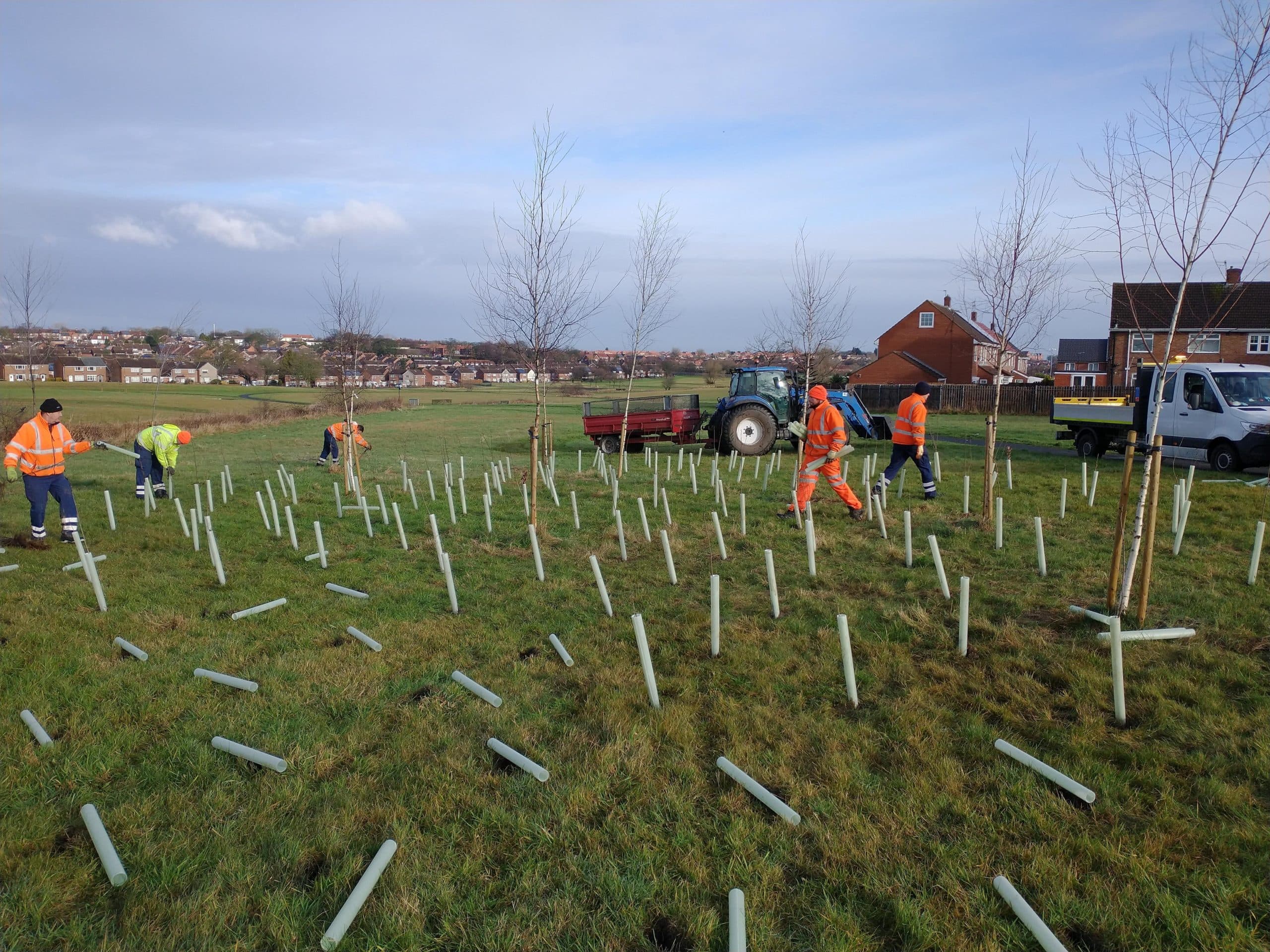 Additional 2,000 Trees Being Planted Across Sunderland