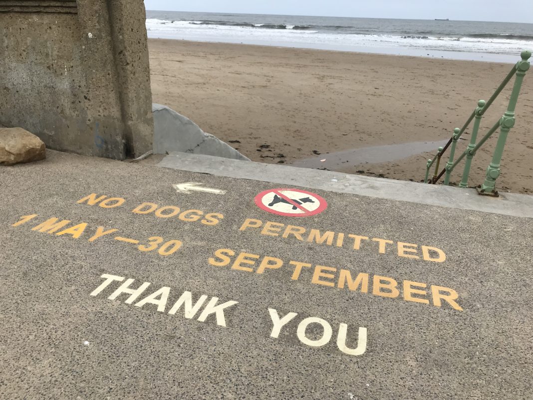 Seaburn Beach dog exclusion zone signage - image 2.jpg
