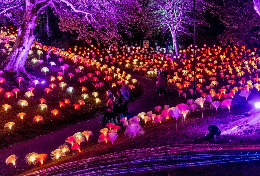 Mowbray Park Festival of Light 2023: Unveiling the New Illuminations